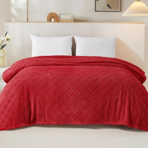 Whale Flotilla Coperta Plaid in Pile di Microfibra, Coperta Morbida, Calda e Soffice per Letto Singolo e Matrimoniale, Copridivano Leggera per Ogni Stagione, 230 x 270 cm, Rosso | Copriletto in jacquard goffrato, leggero, morbido e soffice per 4 stagioni