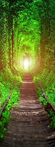 A.Monamour Türtapete Selbstklebend Türfolie Türposter 3D Eisenbahn Im Frühjahr Waldbogen Tunnel In Der Ukrainischen Landschaft Vinyl Folie Türdeko Tapete Wandbild Türaufkleber Türtattoo 90 x 200 cm