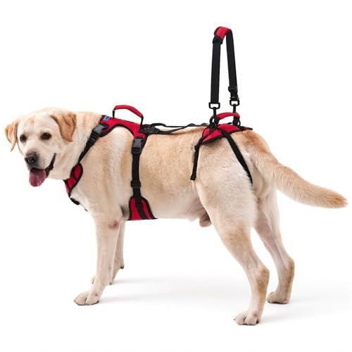 Lafoty Hunde-Liftgeschirr für mittelgroße Hunde, Hundestützgeschirr mit Doppelgriff für tägliche Gehhilfe, rüdenfreundlich, atmungsaktiv & leicht anzulegen, Rot, M