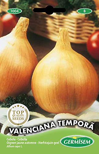 Germisem Valenciana Tempora Semi di Cipolla 3 g