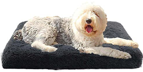 Lit orthopédique en peluche douce pour chien, coussin en mousse à mémoire de forme pour chiens et chats de petite, moyenne et grande taille, tapis de cage pour chien, amovible, lavable, antidérapant