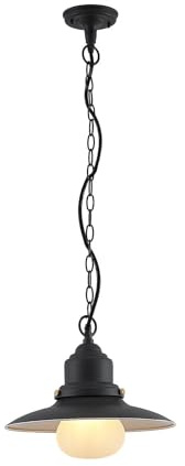 Lindby Luminaire extérieur Roisin à intensité variable (Bord de mer) en Gris Métal (1 lampe,à E27), Suspension