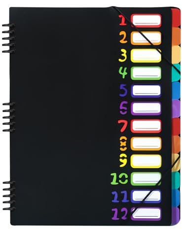 Dokumentenmappe A4 Loseblattspule Dateiordner A4 Briefgröße: LEKEFETO 24 Taschen Kunststoff Akkordeon Dokument, PP Kunststoff Ordnungsmappe Pultordner mit Gummizug, Wasserdicht, für Schule Bürobedarf