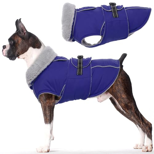 Lelepet Hundejacke Winter Warmer Hundemantel, Wasserdichter Wintermantel Fleece Hundeweste für Mittelgroße Hunde, Winddichte Hundebekleidung Outdoor Haustier Kostüm (Blau, M)