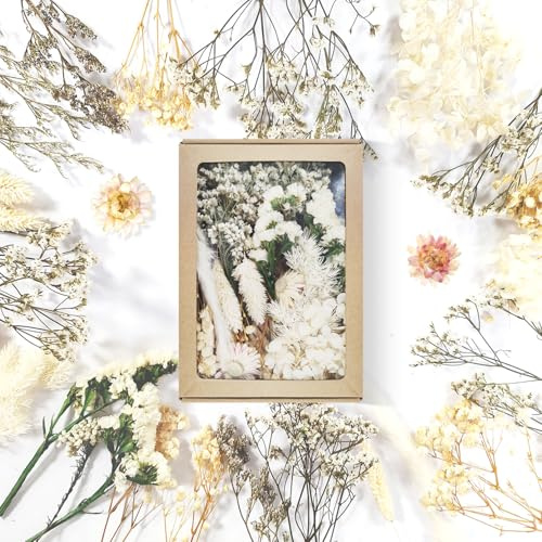 naturliga torkade blommor (papperslåda vit)