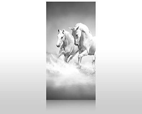 wandmotiv24 Duschrückwand weiße Traumpferde 100 x 200cm (B x H) - Acrylglas 4mm M0489