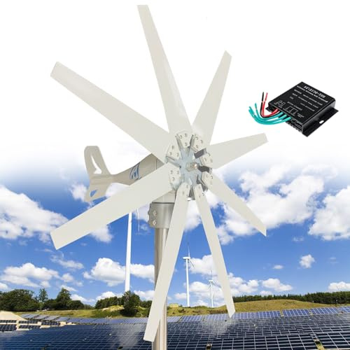Fablestoryem Generador de Turbina Eólica, 12V/24V/48V/110V/220V 14000W Aerogenerador Horizontal, 8 Cuchillas Velocidad Nominal 13m/s, con Controlador de Carga MPPT para Hogar, Chalets,220V