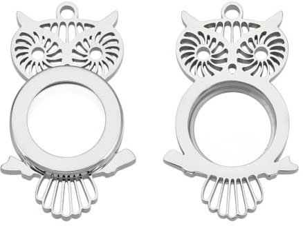 UNICRAFTALE 2 Stück Schwimmender Medaillon Anhänger Lebendigem Gedächtnis Edelstahl Eulen Medaillon Anhänger Glas Tier Fotorahmen Anhängers Süß Für DIY Schmuck Halsketten
