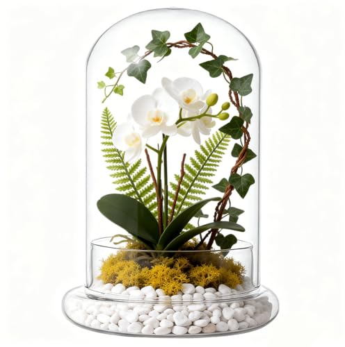 UNICRAFTALE Campana Cristal Transparente Altura 21cm Base Hecha Mano Cúpula Vidrio Coleccionables Antiguos Vitrina Decorativa Plantas Luces Hadas Fotos Medallas Decoración Mesa