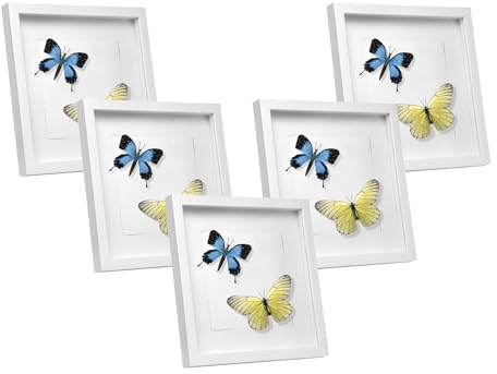 EUGAD Set di 5 Cornice 3D per Foto da Muro Cornici 40x40cm per Oggetti Fino a 1,5cm, Cornici Fotografiche Multiple da Tavolo Portafoto Sospeso in Legno Passepartout Incluso, Bianco