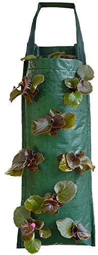 Bibest Plantation Suspension Culture Légumes en PE Respirant SacJardinière Suspendu avec Trous Et Poignées Herbes Fleurs