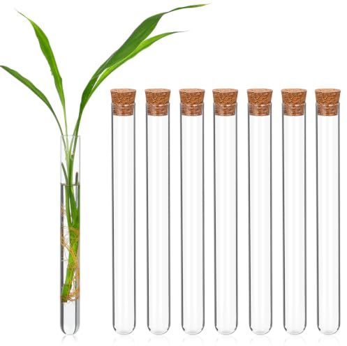 BUGUUYO Tubes À Essai En Verre 20 Cm Avec Bouchons Lot De 8 Tubes À Fond Rond Pour Stockage De Liquide Laboratoire École Maison Et Expériences De Chimie