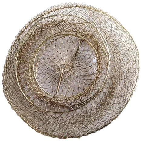 WHAMVOX Cestino Per La Pesca in Metallo Da 25 Cm Gabbia Da Pesca Portatile Rete Profonda Anti-fuga Per Contenere Numerosi Pesci All’aperto