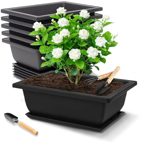 6 Stück Bonsai Schale, Pflanzschale, Bonsaischale mit Untersetzer & Gartenwerkzeug Set, Bonsai Topf mit Untersetzer, Blumentopf Länglich Anzuchttöpfe Sukkulenten Schale Pflanzkübel für Gärten Balkone