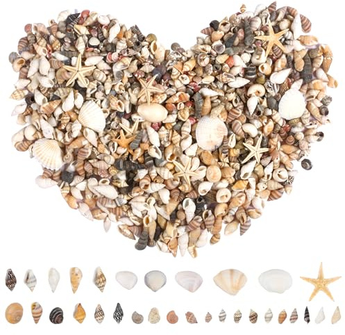 1000 Stück Muscheln Seesterne Glasperlen Set, Basteln Deko Natürlich Strand | Dekoration Muschelperlen für Heimwerken, Strandthema Meerestiere Hochzeit Tischdeko, Handwerkskunst Bemalen Geschenk