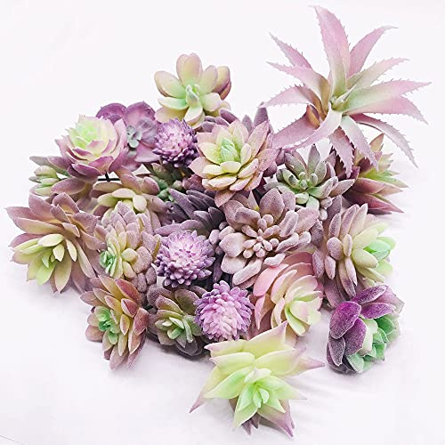 NA Woohome Künstliche Sukkulenten, lila, ungedeckte Sukkulenten, Sortiment in verschiedenen Arten beflockt, für Geburtstag, Heimdekoration, Innenwand, Garten, DIY, 25 Stück