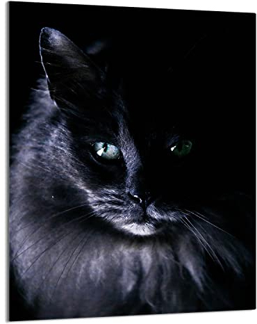 DarHaus Herdabdeckplatte einteilig 40x52 cm Ceranfeld Abdeckung Glas Spritzschutz Abdeckplatte Glasplatte Herd Ceranfeldabdeckung Deko, Katze Schwarz
