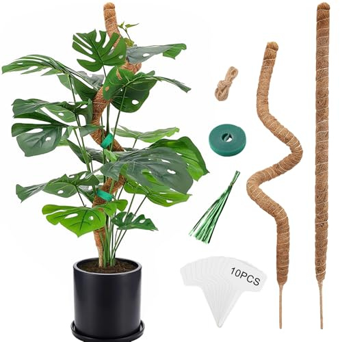 Chicpant 1PCS Tuteur Monstera Coco Plante Grimpante Exterieur 120CM Tuteurs pour Plantes Tuteur Sphaigne pour Plante Monstera avec Accessoires