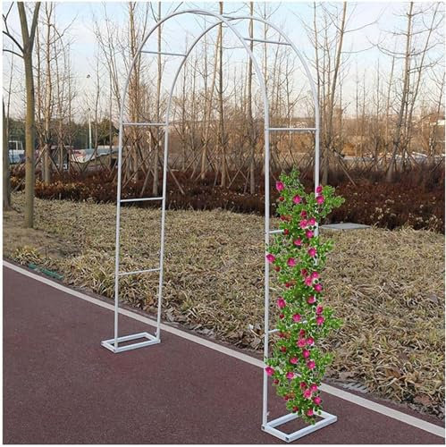 Pealihuy Tonnelle de pergola en métal, Arche de Jardin for Plantes grimpantes, Arches de Roses extérieures for vignes de Raisin et décoration de fête intérieure, Noir/Blanc (Size : W1.6MxH2.2M)