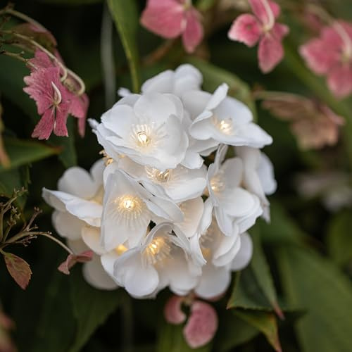 Lights4fun 200er LED Blumen Solar Lichterkette warmweiß USB Aufladbar Solar Lichterkette Blumen Solarlampen für außen