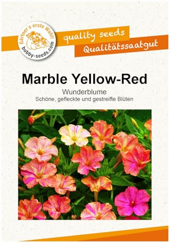 Blumensamen Marble Yellow-Red Mirabilis Portion