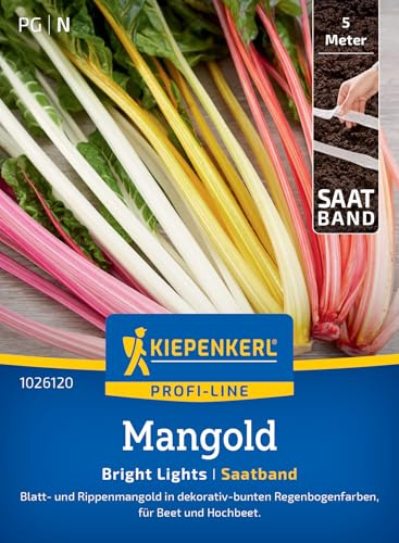 Kiepenkerl Mangoldsamen Bright Lights 1026120, Gemüsesaat | Buntes Mangold Gemüsesamen-Saatband, dekorativ-bunte Regenbogenfarben, Hochbeet und Kübel