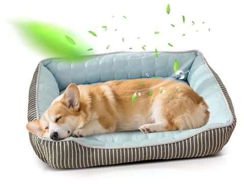 PETCUTE Ortopedisk hundsäng, bäddsoffa för husdjur, mjuk stoppning, tvättbar, hundmadrass med upphöjda kanter med halkfri botten, uppfriskande, lämplig för sommar(blå, S)