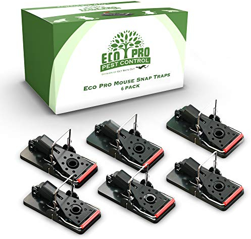 Mouse Trap by Eco Pro - Reusable 6 Pack of Small Traps That Work for Indoor and Outdoor Use - Easy - Quick Mice Snap Kill Trap (Bait not Included), Powerful Mousetraps for Rodent Elimination
