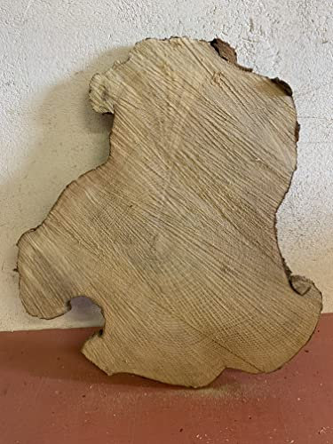 Baumscheibe, Holzscheibe,Baumscheibe, ca. 50x40x3cm Robinie