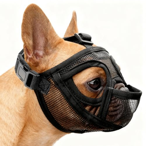 Museliere Bouledogue Francais, Réglable Muselière Chien Respirant Masque Plate Museliere Petit Chiens Court Anti Morsure Mastication Léchage pour Shih Tzu Et Carlin (M)
