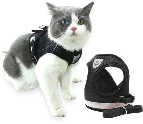 TALACANO Katzengeschirr mit Leine - Geschirr Katze - Katzengeschirr mit Leine ausbruchsicher - CAT Harness - für kleine Katzen - katzenleine - welpengeschirr mit Leine Set (SMALL)