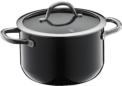 WMF Fusiontec Inspire kastrull stor, 20 cm, glaslock, köttgryta induktion, 3,7 l, högteknologisk keramik, reptålig, obelagd, svart, tillverkad i Tyskland