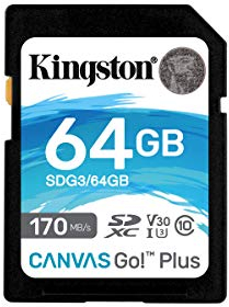 Kingston SDG3/64GB Scheda di Memoria SD (64GB SDXC Canvas Go Plus 170R C10 UHS-I U3 V30)