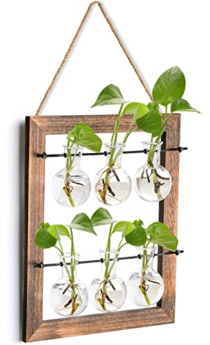 Elsjoy Wandbehang Glas-Pflanzgefäß, Doppelschichtiges Pflanzen-Terrarium Anzuchtstation, Mini-Vase mit 6 Zwiebeln mit Holzständer und Seil für Hydrokulturpflanzen, Heimdekoration, Innen- und