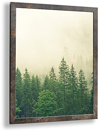 Monaldo Deluxe Bilderrahmen Posterrahmen 90 x 30 cm Oxidierte Metalloptik Wechselrahmen weisser Hintergrund Antireflex Kunstglas