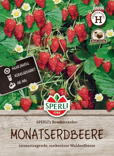 Sperli Monatserdbeerensamen SPERLI's Bowlenzauber 80694 - Immertragende, rankenlose Walderdbeere - Inhalt für 60 Pflanzen - Erdbeeren Pflanzen, Saatgut