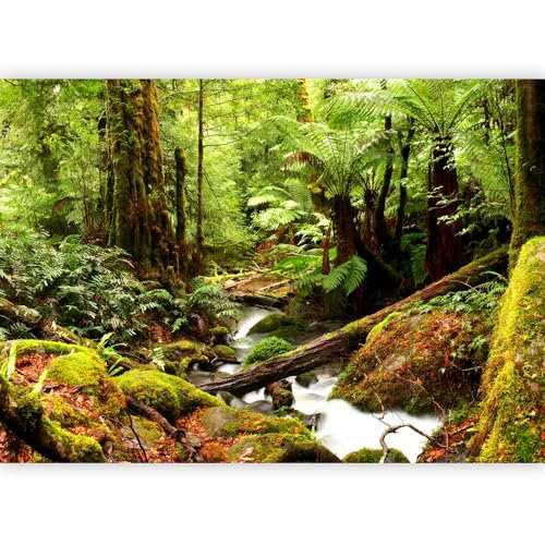 murando PREMIUM Fotomurales Bosque 350x256 cm Papel pintado tejido no tejido Decoración de Pared decorativos Murales moderna de Diseno Fotográfico Bosque Paisaje Naturaleza Cascada c-B-0536-a-a