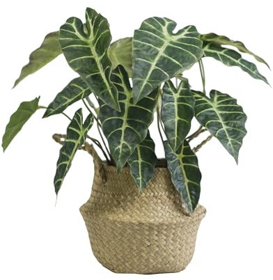 VerdantCharm Pianta di alocasia artificiale a foglia nera, 46 cm, decorazione finta per soggiorno, camera da letto e ufficio