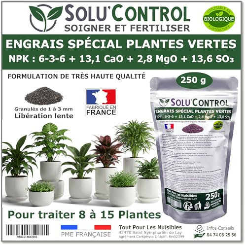 250 g Engrais Spécial Plantes Vertes 6-3-6 - Croissance, Feuillage Dense & Vitalité - Formulation Organo-Minerale - Libération Lente - Convient Plantes Intérieur & Extérieur - Fabriqué en France