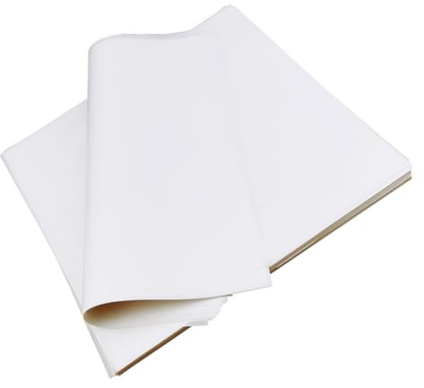 MAGICLULU Tapis Antiadhésif Sulfurisé 500 Pièces 22X22 CM Papier Absorbant L'Huile pour Snacks Frits et Pizzas, Adapté Cuisine Familiale et Fêtes