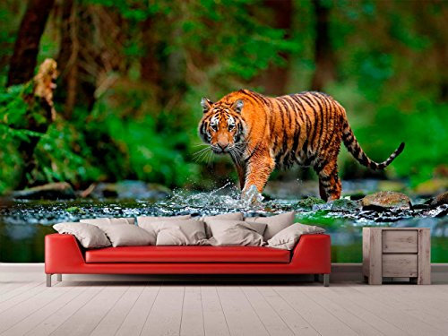 Fotomural Vinilo para Pared Tigre Selva | Fotomural para Paredes | Mural | Vinilo Decorativo | Varias Medidas 500 x 300 cm | Decoración comedores, Salones, Habitaciones...