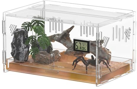 Giznzg Terrarium für Reptilien, Reptil Fütterungsbox, Acryl Terrarium mit Digitales Thermometer Hygrometer Reptilienzuchtbox für Spinne/Schnecke/Frosch/Eidechse/Schildkröte (30x20x15cm)