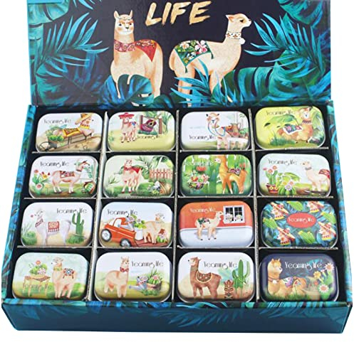 SUCHUANGUANG Scatola di latta colorata sigillata scatole di imballaggio per gioielli artigianali contenitori caramelle scatola di monete orecchini cuffie pillole scatola di ferro