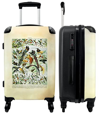 NoBoringSuitcases.com® Koffer groß Trolley Rollkoffer Reisekoffer mit 4 Rollen Fotokoffer - Natur - Vintage - Vögel - Illustration - 67x43x25cm - 90 Liter