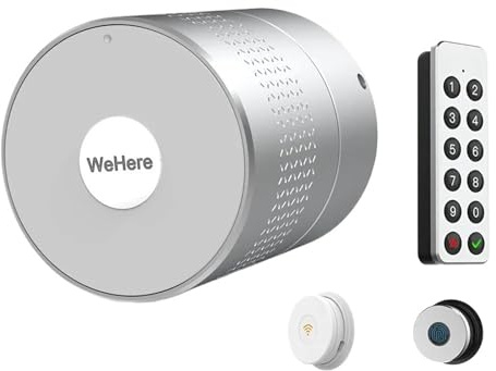 APP M532 Smart Türschloss Stil Nicht Ändern Schließzylinder Unterstützung Google Home Fingerprint Türschloss(M532-TY)