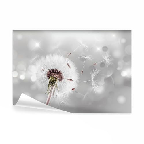decomonkey Papier Peint Panoramique Pissenlit Nature 350x256 cm | Décoration murale, Tapisserie décorative pour chambre salon, Lueur pissenlit fleurs nature romantique plantes gris clair
