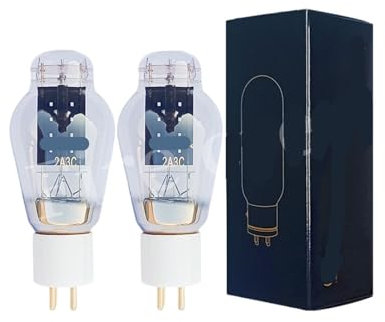 2A3C 2A3 Vakuumröhre ersetzt 2A3B E-2A3 2A3-T 2A3-TII WE2A3 HiFi Audio-Röhrenverstärker-Kit DIY(2pcs Matched Pair)