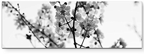 Leinwandbilder | Bilder Leinwand 120x40cm Ast mit Blumen schwarz/weiß