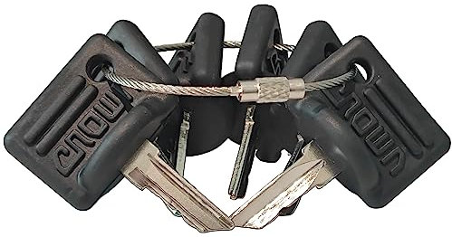 GAOHOU 6Pcs Forklift Ignition Keys Crown Ignition Key for Part #170151-001 PE3000 PE4000 PE4500 089216-001 &C250 Ignition Key