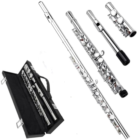 Flöte für Anfänger Flöte Mit 16 Löchern, Silberne Tasten, Flöte Mit Geschlossenem Loch, E-Taste, Holzblasinstrumentenflöte Mit Box-Tuch-Zubehör